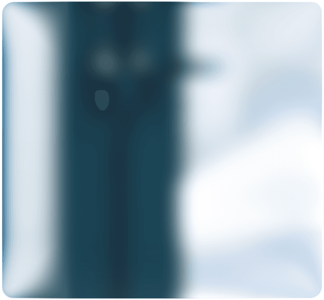 auth frame
